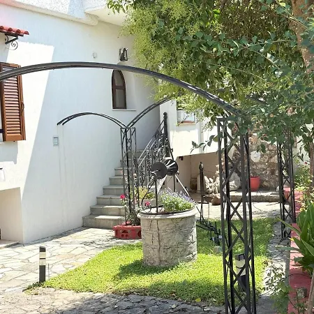 Cozy Nest - Escape 폴리드로소스