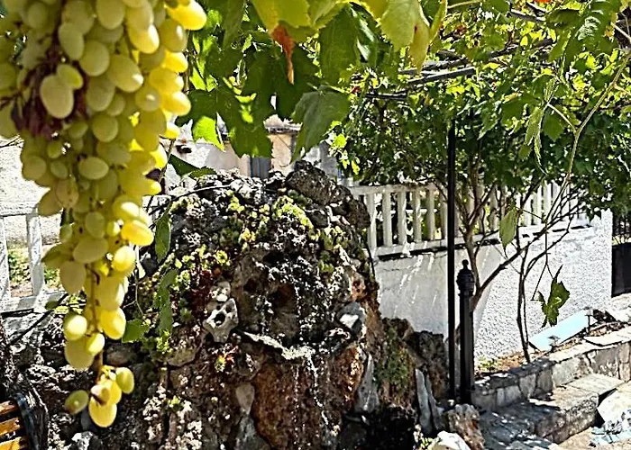 Cozy Nest - Escape * Πολύδροσος